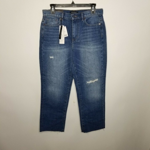 NWT Banana Republic Women's Sz 28 Vintage Straight - Picture 1 of 6
